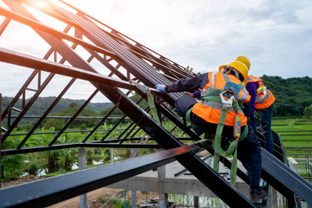 Best Roof Gutter Cleaning  in Dobson, NC
